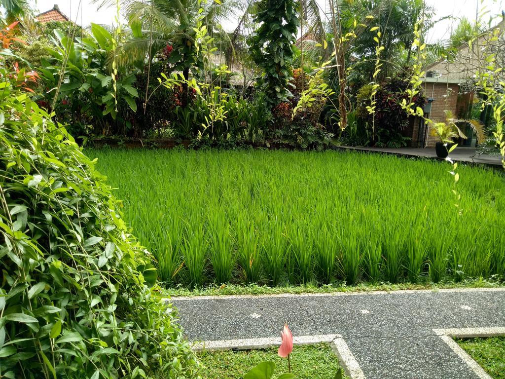 Ferienwohnung Maple House Ubud Exterior foto