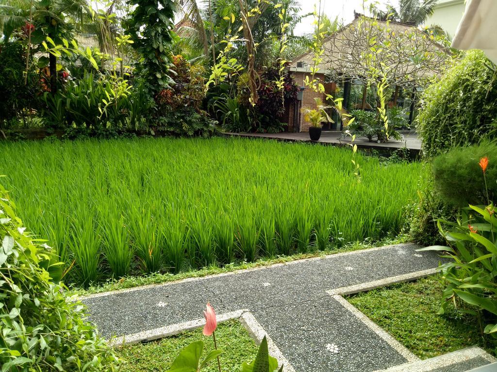 Ferienwohnung Maple House Ubud Exterior foto